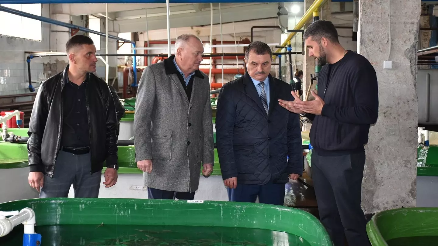 Белоярский рыбзавод выращивает третий миллион мальков для фермеров Хакасии