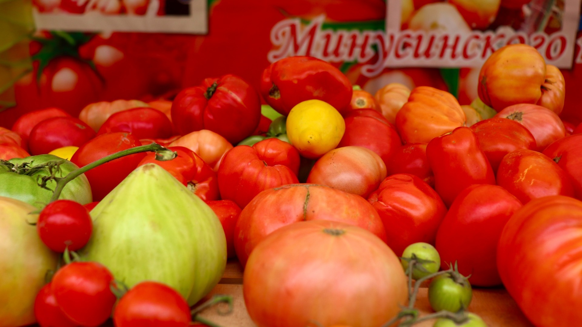 Рассказываем и показываем, как прошел День помидора в Минусинске
