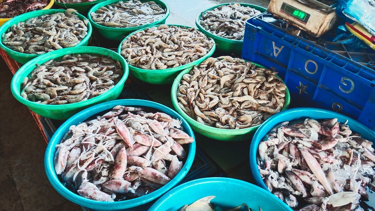 Ученики лицея «Сириус» и эксперты Genotek проверили рыбные магазины на фальсификат