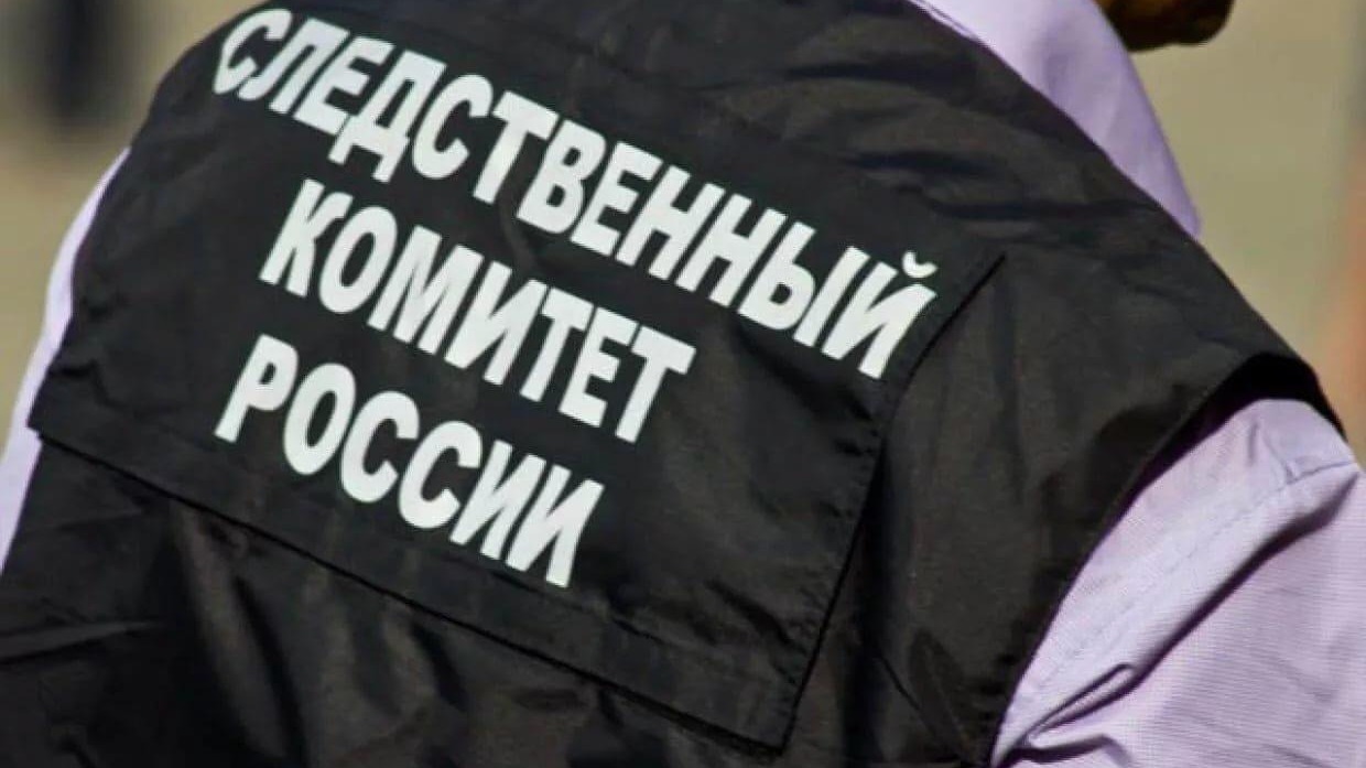 Бастрыкин поручил проверить «Артель старателей Хакасии» после жалобы шорцев