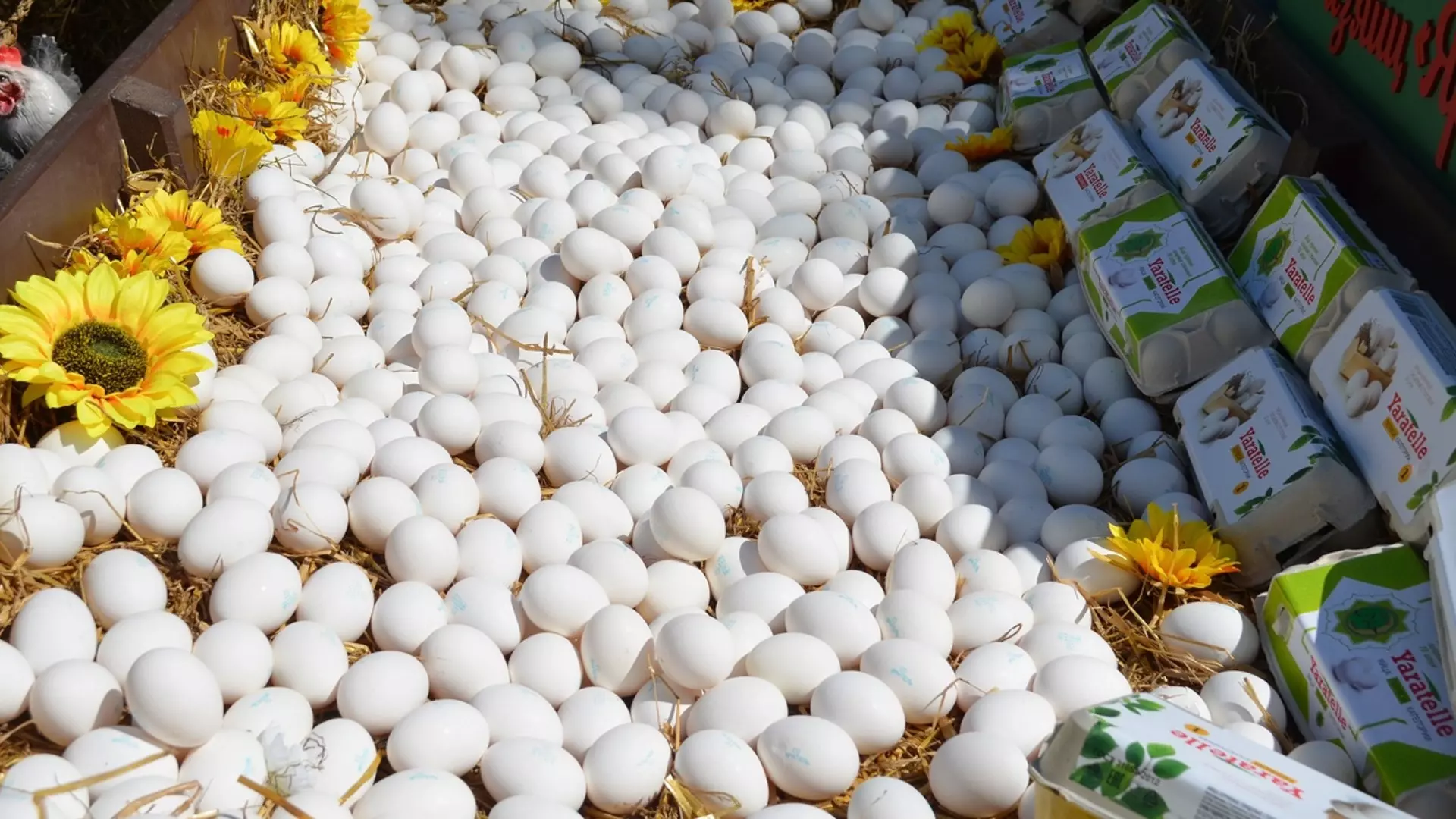 Рассказываем, когда в Хакасии стабилизируются цены на яйцо