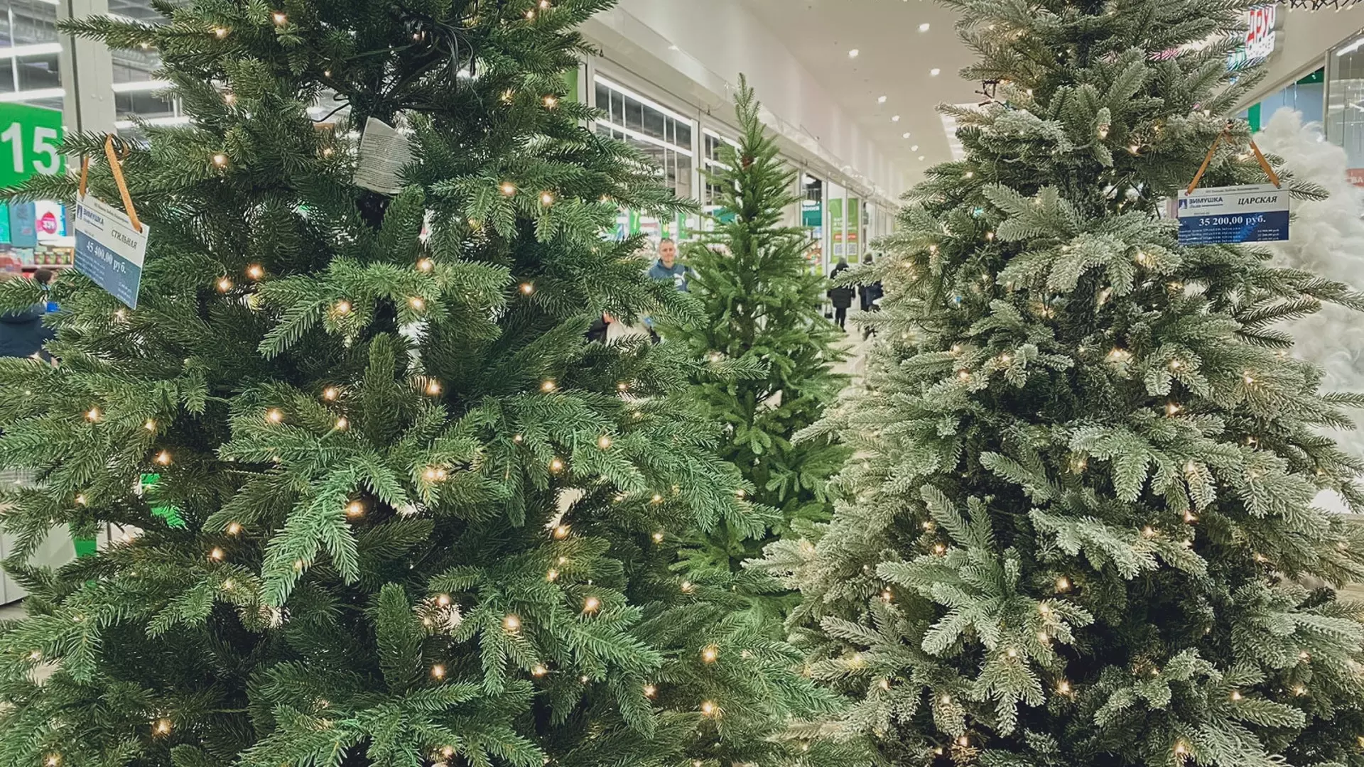Жителям Хакасии дали совет, как выбрать новогоднюю елку